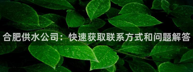 球友会网站多少