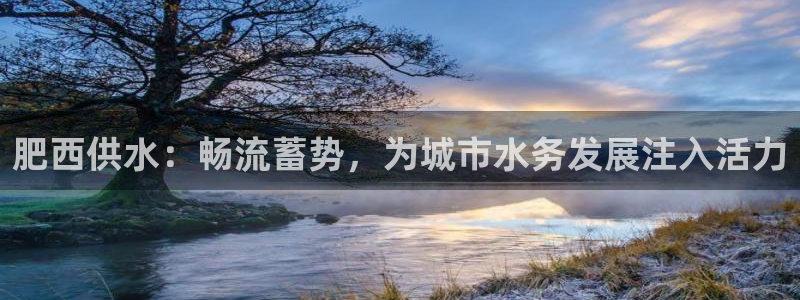 qy球友会体育怎么样