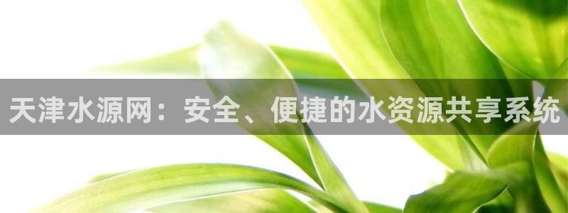 qy球友会体育官方平台
