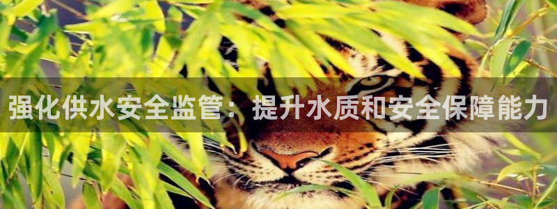 球友会能提现吗