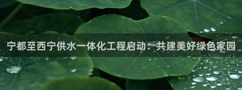球友会友谊赛赛程