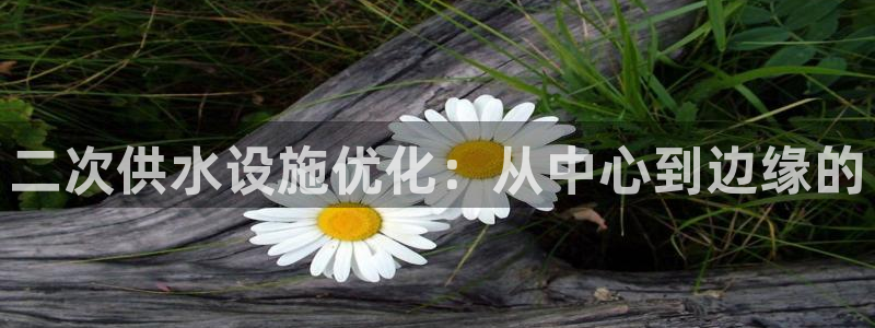 球友会联赛