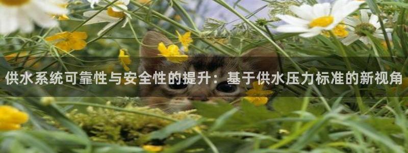 球友会比赛结果查询系统