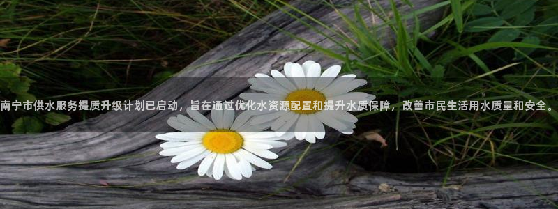 球友会app干啥的呀