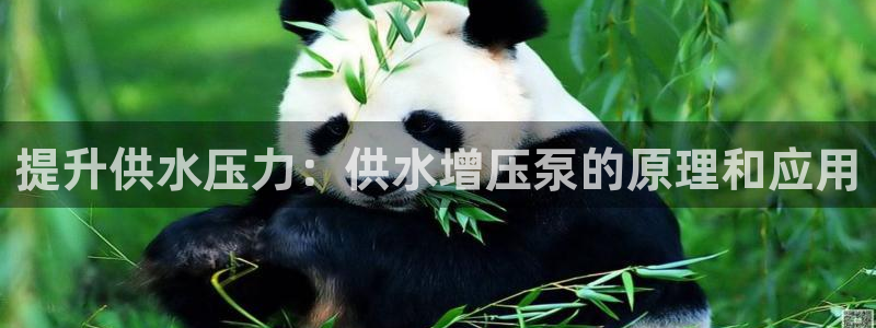 球友会提款不到账