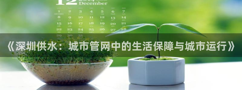 qy球友会体育(中国)官方网站