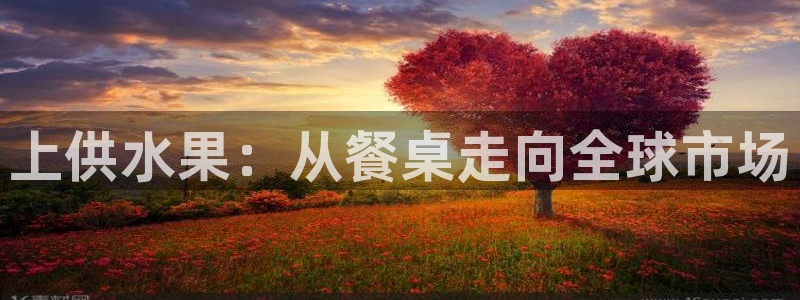 球友会下载安装