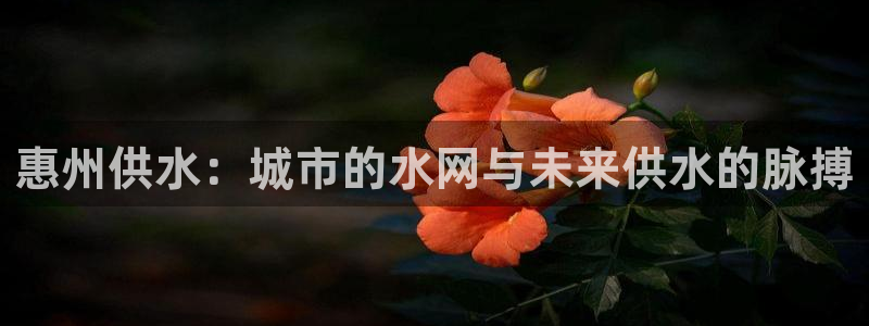 球友会是不是大平台