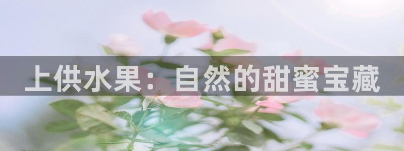 球友会官网入口