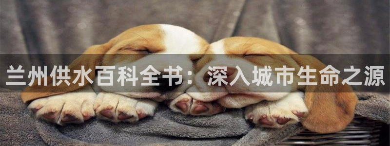 球友会官网登录入口在哪