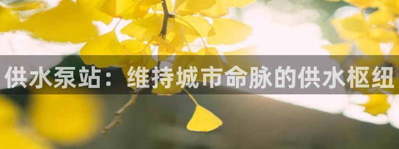 球友会官网入口在哪里