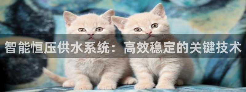 球友会app安全吗可靠吗知乎