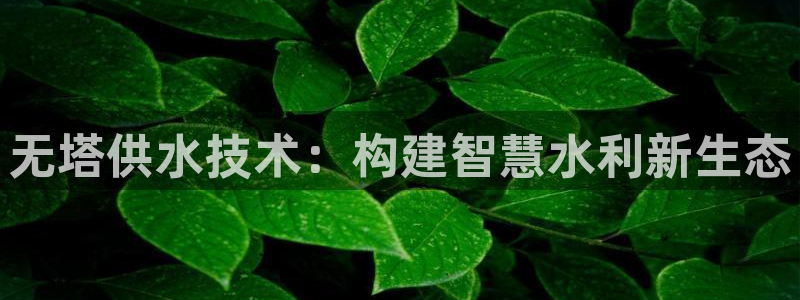 球友会qyh