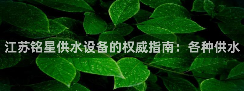 qy球友会体育官网下载