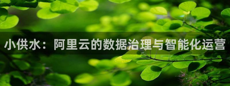 球友会审核