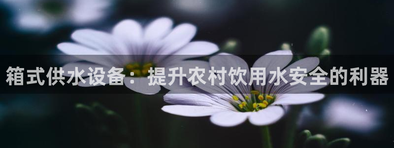 球友会在线登录账号吗安全吗