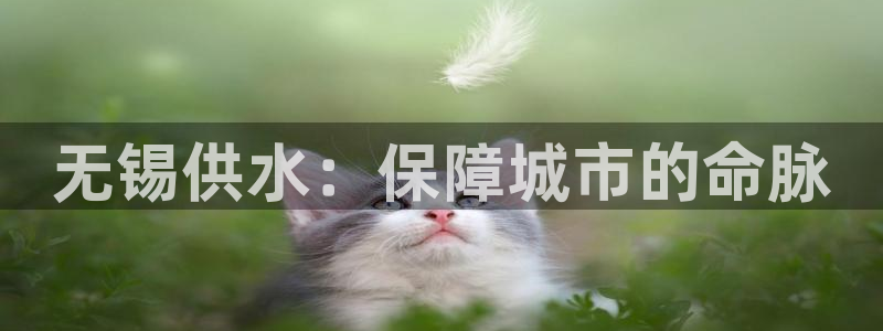 球友会买球打牌绑卡有风险吗?