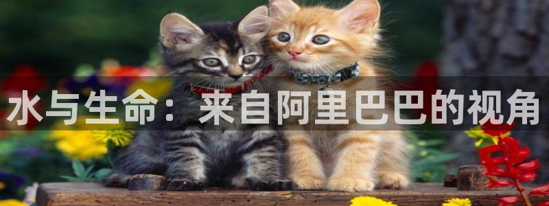 球友会登录球友会官网