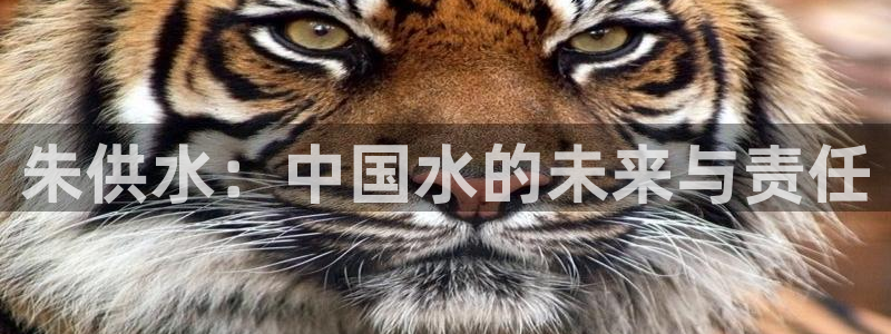 球友会在线登录账号吗