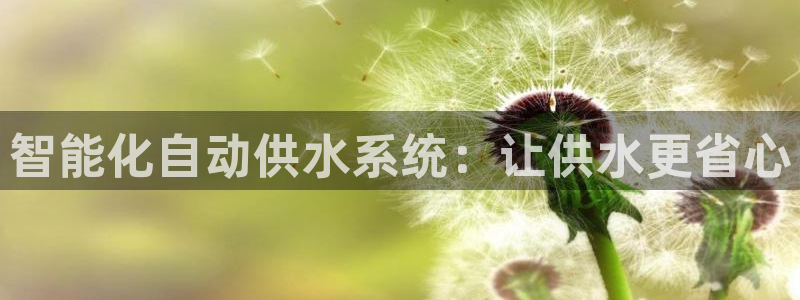 qy球友会体育(中国)官方网站