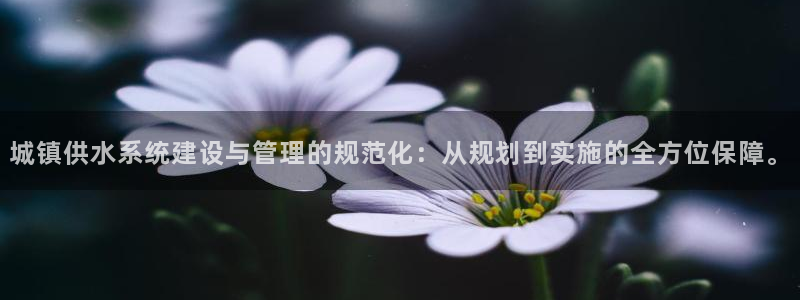 球友会比赛结果查询系统