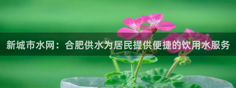 球友会比赛结果查询系统