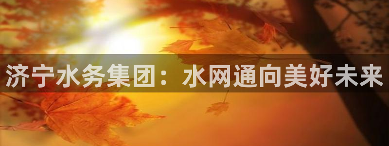 球友会下载安装