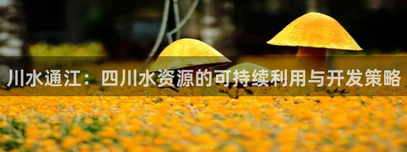 qy球友会体育怎么样