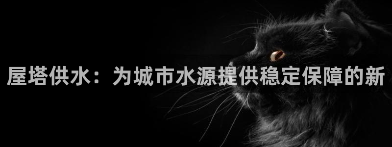 qy球友会体育官网下载